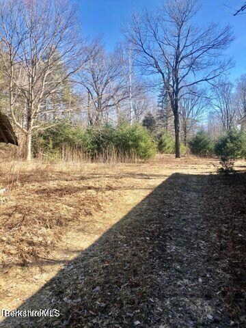 Cleared section of property