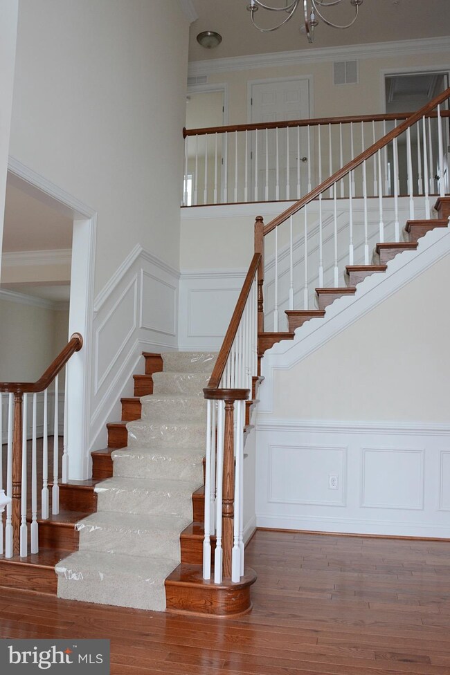 7344 Tottenham Dr, White Plains, MD 20695 - photo 2