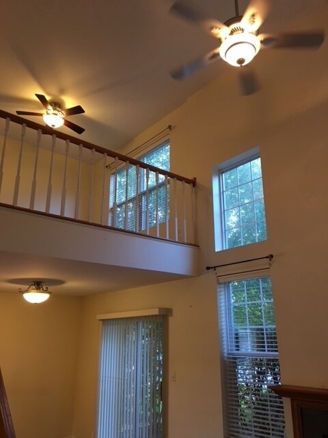 1911 Town Dr, Naperville, IL 60565 - photo 3