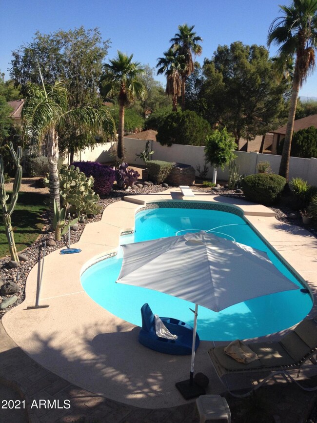 Large diving pool with new water and san