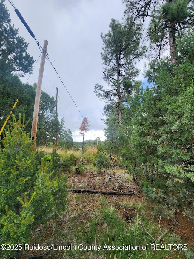 Lot 2A Snow Park Rd, Alto, NM 88312 - photo 4