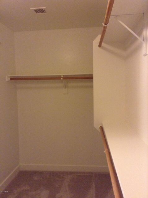 master closet 1