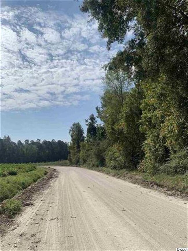 TBD Jamie Rd unit Lot F, Aynor, SC 29511 - photo 3