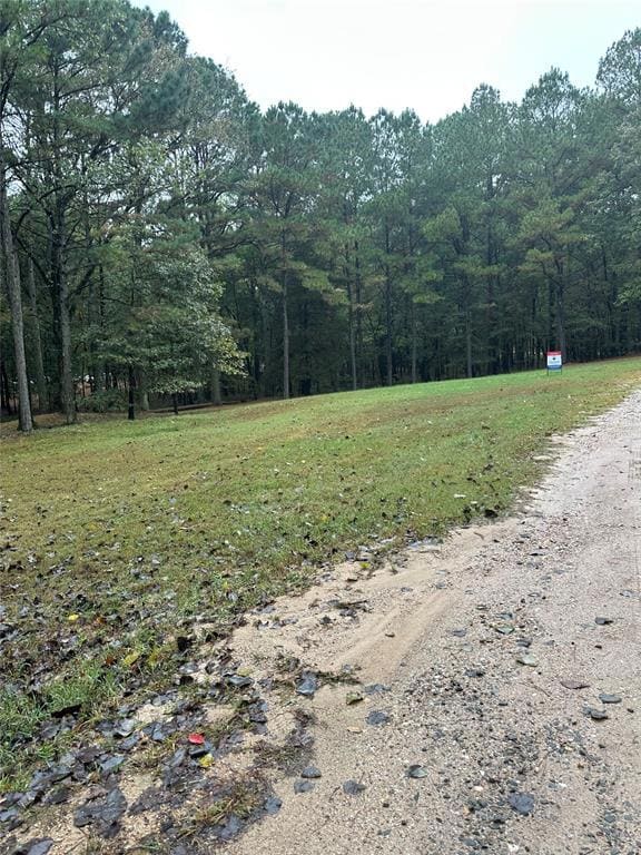 View of yard with a forest view