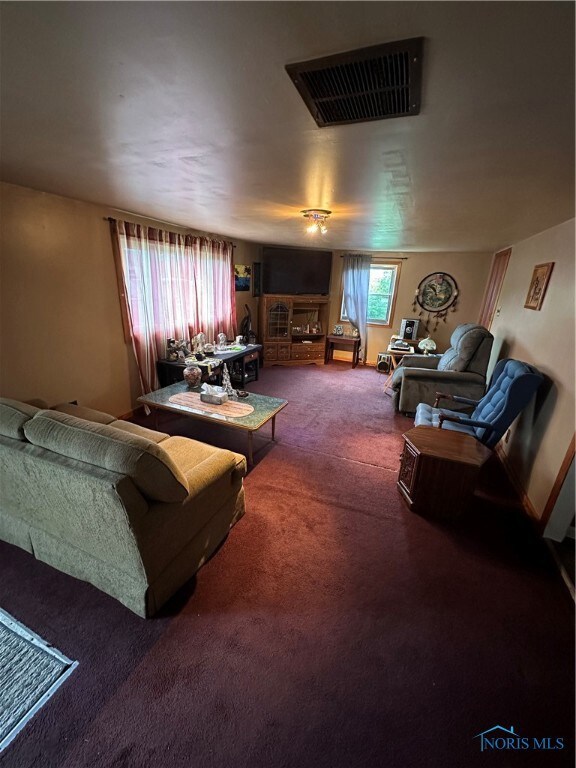 1116 W College Ave, Woodville, OH 43469 - photo 5