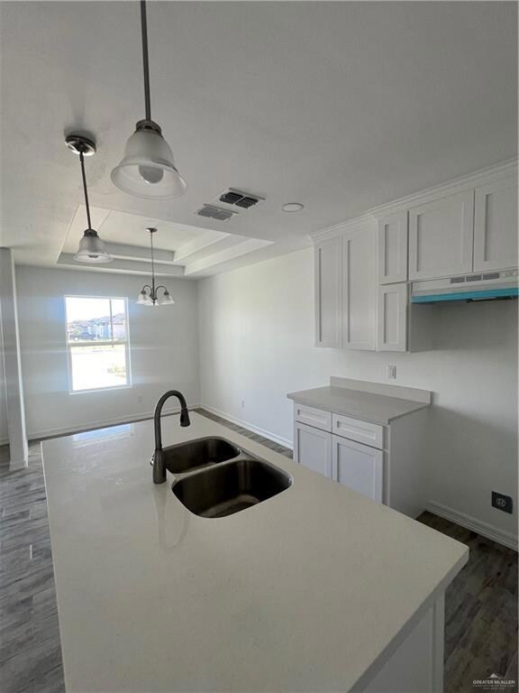 124 Spanish Oak Dr, Alamo, TX 78516 - photo 3