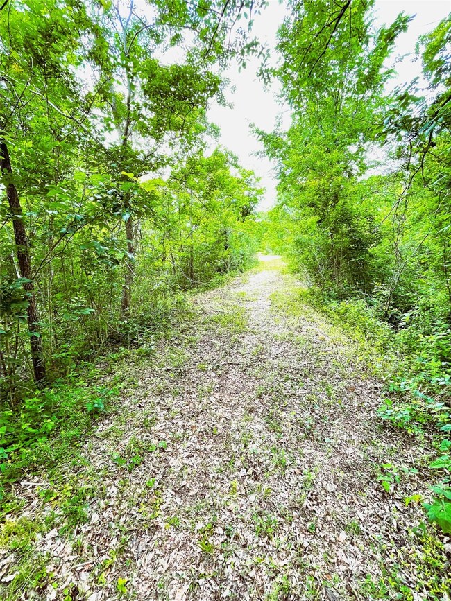 GRAVEL ROAD ENTRY TO PAD SITES