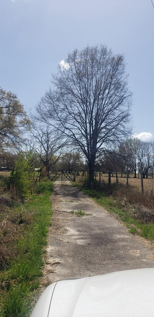 716 Augusta Rd, Edgefield, SC 29824 - photo 7