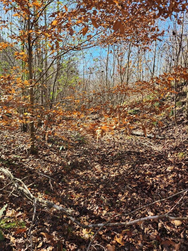 231 Pioneer Dr, Linden, TN 37096 - photo 7