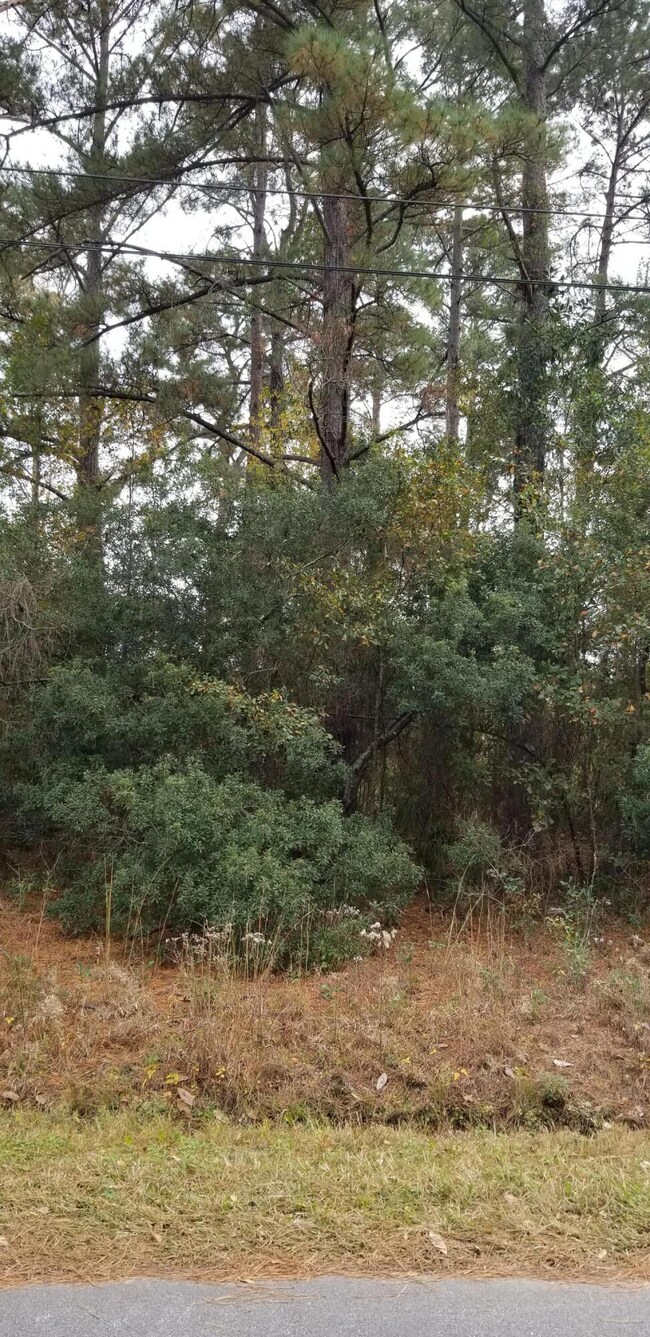 0 Reardon Ave unit 25031265, Walterboro, SC 29488 - photo 2