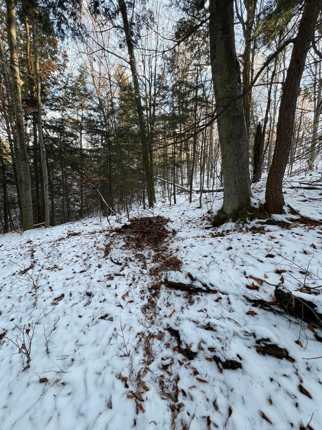 . Lewis Rd, Chateaugay, NY 12920 - photo 7