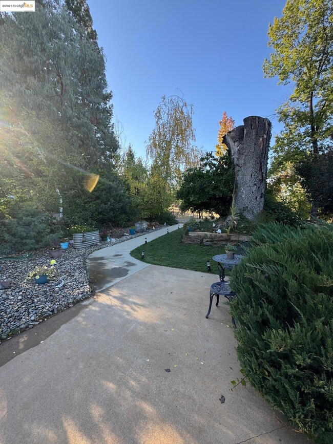 10576 Converse Rd, Coulterville, CA 95311 - photo 3