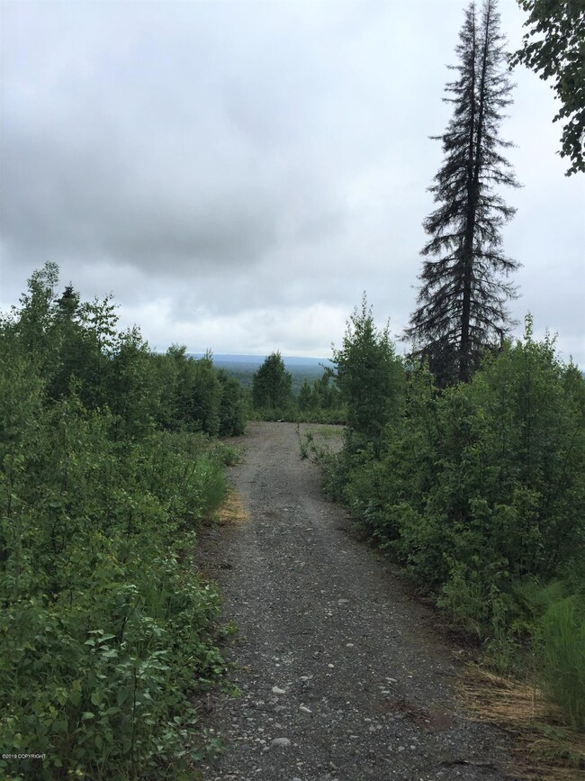 Denali Cabin 5