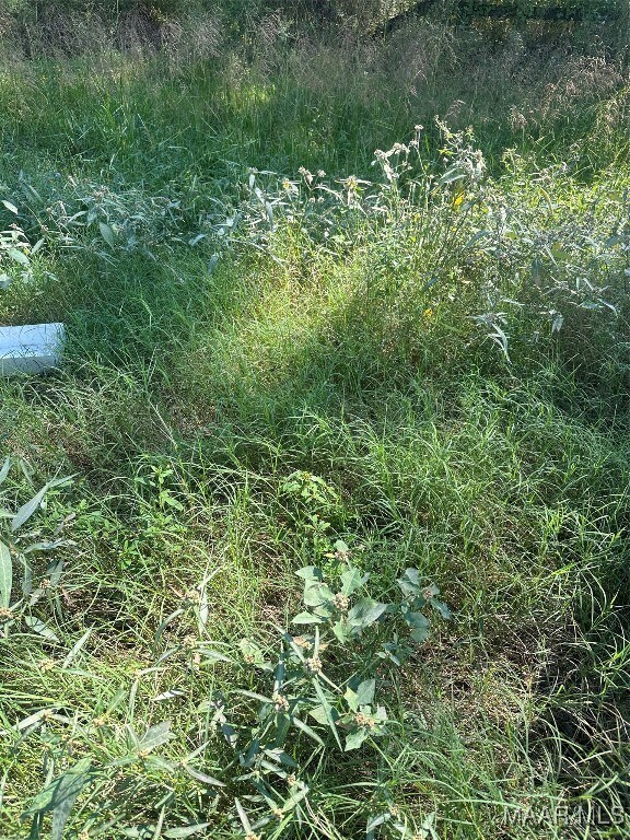 0 Highway 87 unit 552141, Troy, AL 36079 - photo 7