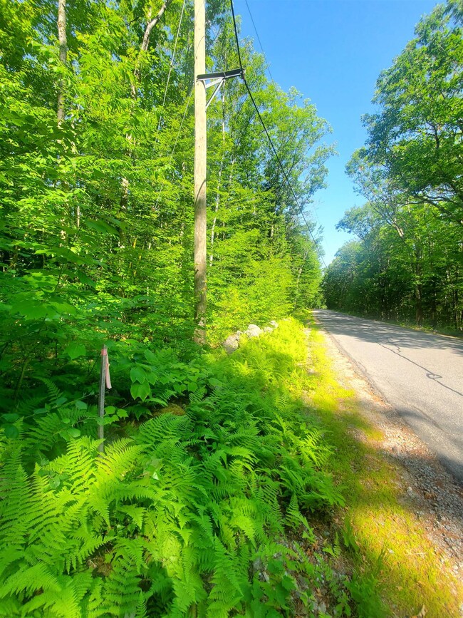 0 Craney Hill Rd, Henniker, NH 03242 - photo 5