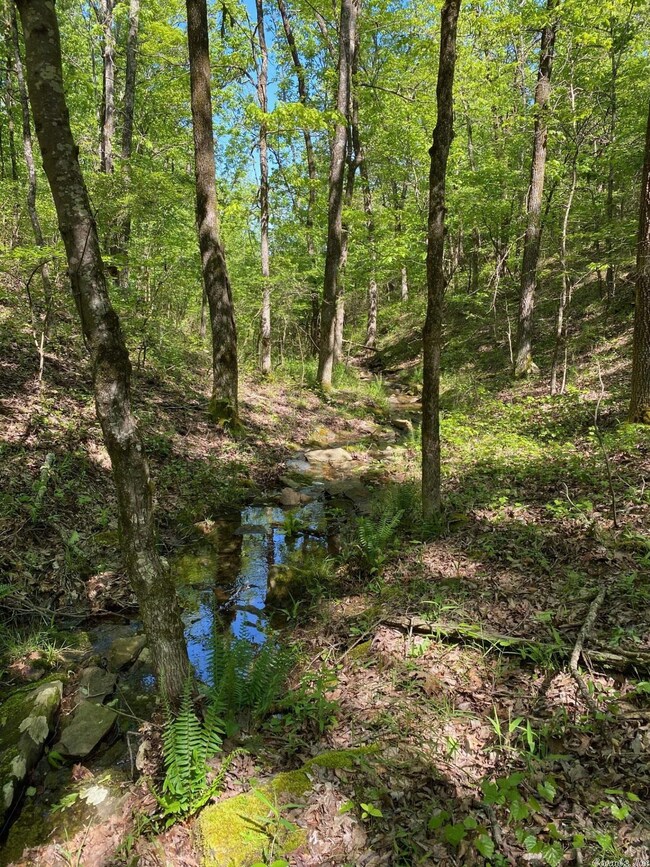 000 Spring Rd, Searcy, AR 72143 - photo 6