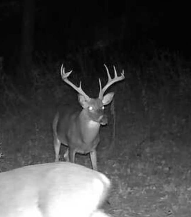 Lot A Swamp Rd unit A, Carthage, MS 39051 - photo 2