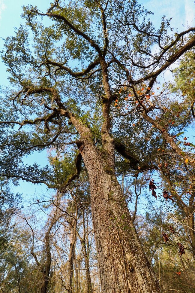 2200 Wyndham Way, Bainbridge, GA 39819 - photo 2