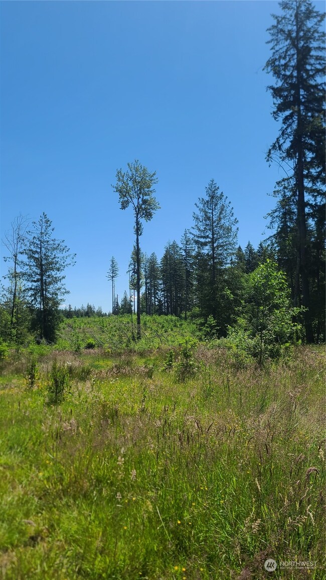 0 Logan Hill Rd unit NWM2254517, Chehalis, WA 98532 - photo 4