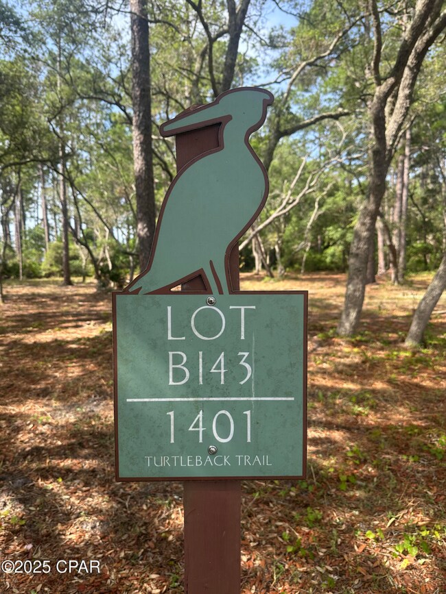 1401 Turtleback Trail, Panama City Beach, FL 32413 - photo 6