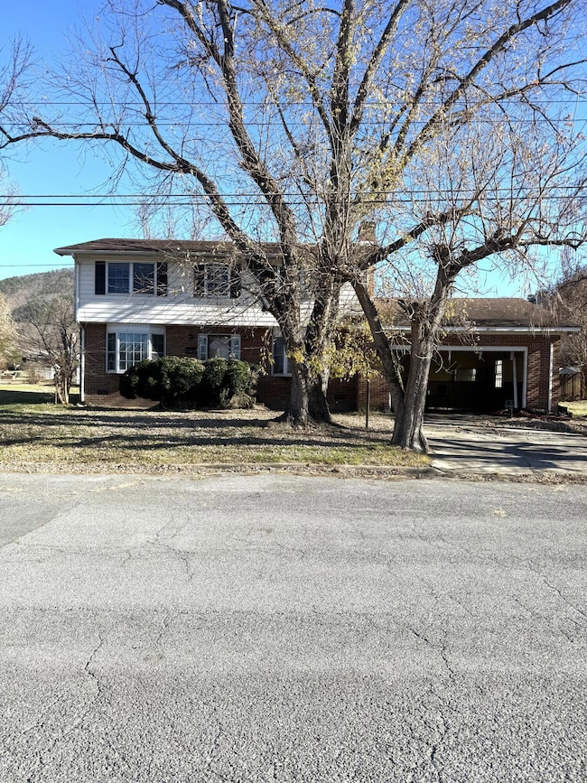 1224 Cherry Ave, Buena Vista, VA 24416 - photo 4