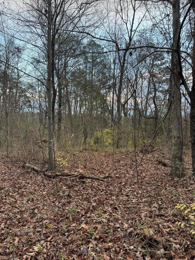 00 County Road 517, Englewood, TN 37329 - photo 5