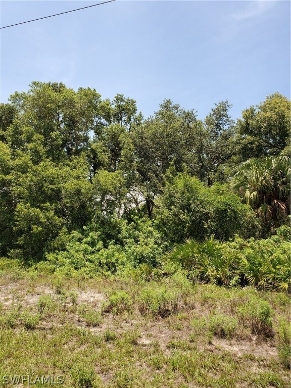 2903 E 18th St, Lehigh Acres, FL 33972 - photo 3