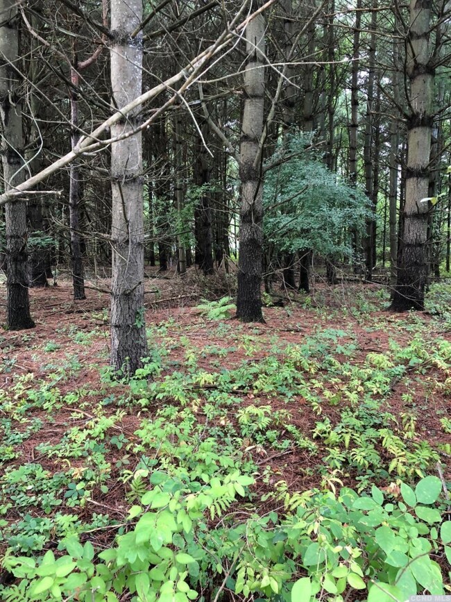 13 - C Sleepy Hollow Rd, Coxsackie, NY 12051 - photo 2