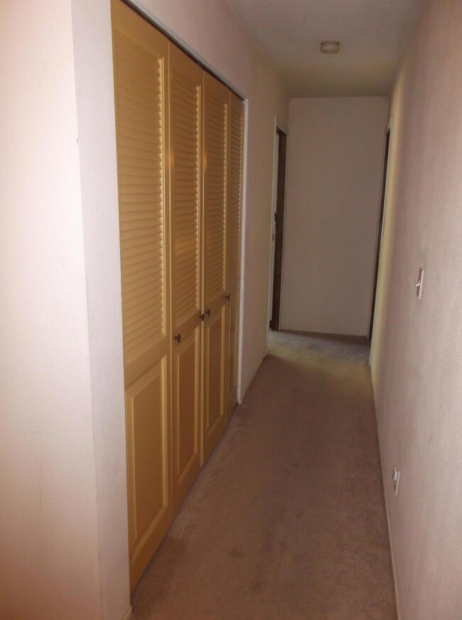 Hallway Closet