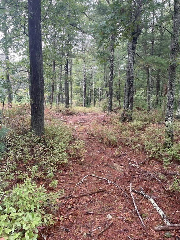 0 Deer Run, Marion, MA 02738 - photo 4