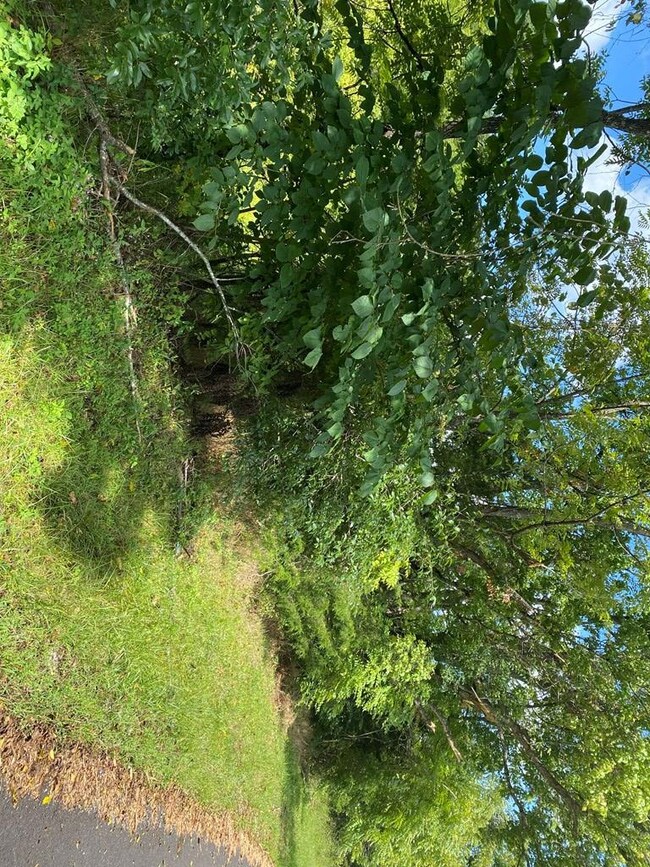 00 Center Point Acres, Walling, TN 38587 - photo 2