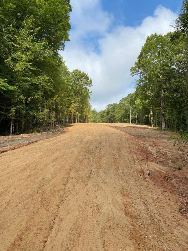 TBD Cr 405 & Hwy 334, Oxford, MS 38655 - photo 2