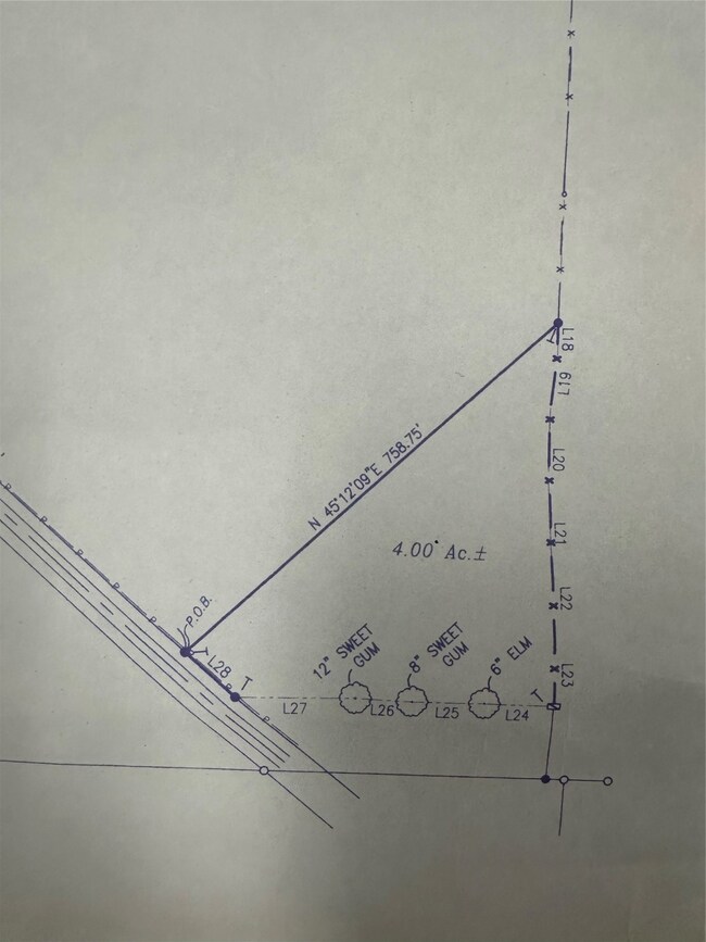 321 Fuller Rd, Minden, LA 71055 - photo 5