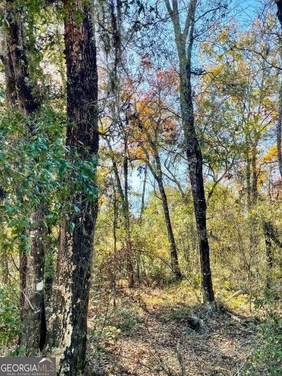 0 Highway 56 S unit 10646183, Swainsboro, GA 30401 - photo 2