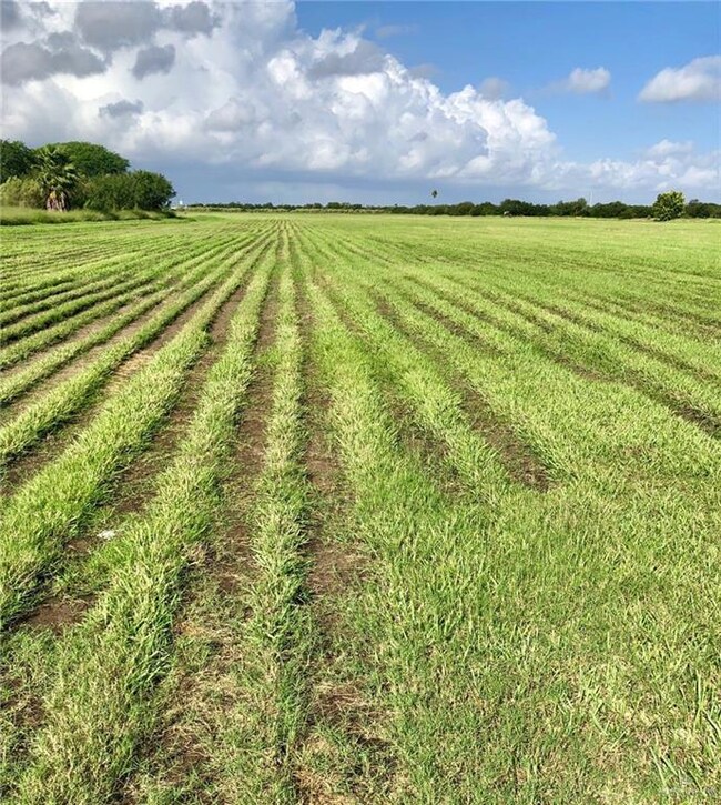 NN Billman Rd, Donna, TX 78537 - photo 7