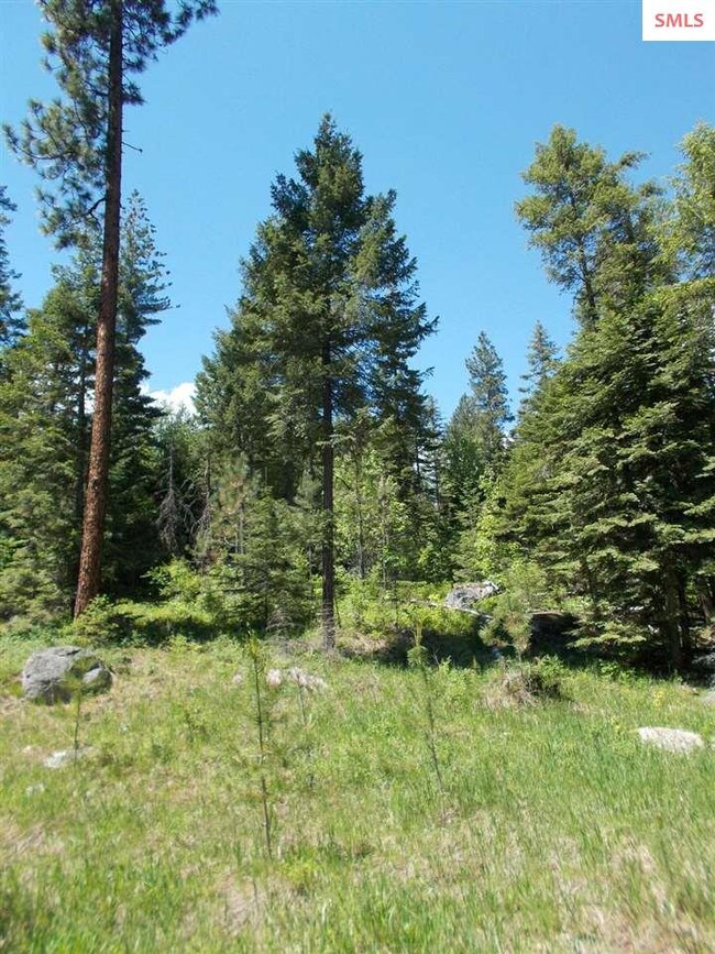 669 Forest Knolls Dr, Sandpoint, ID 83864 - photo 7