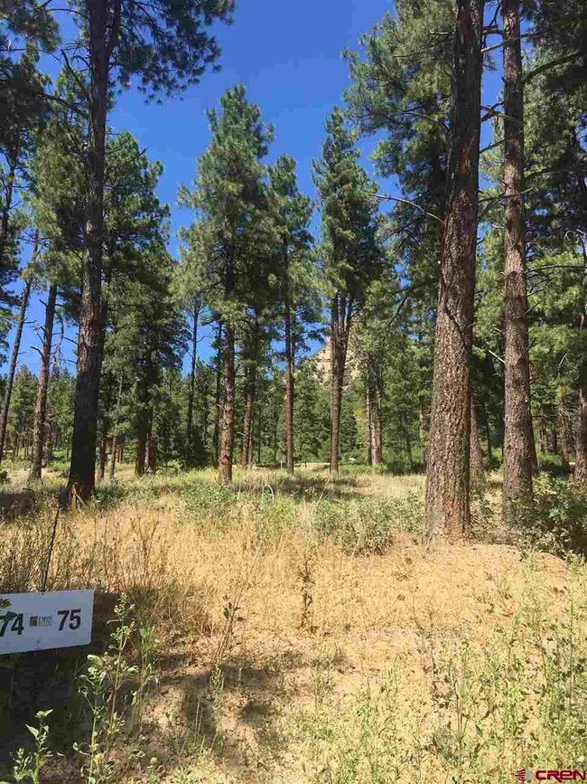 597 Tipple Ave, Durango, CO 81301 - photo 5