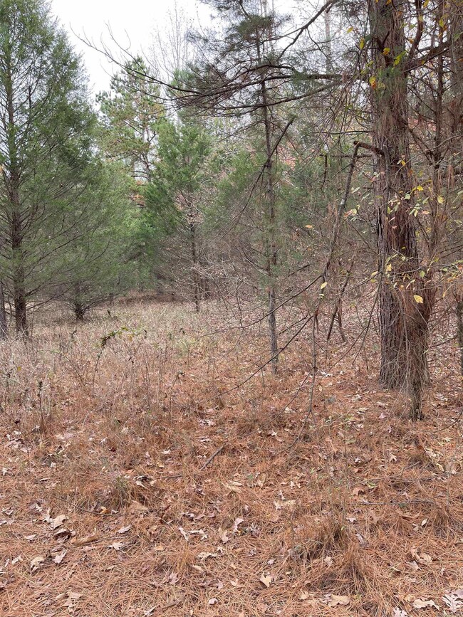 9.57 Acres Greene Road 756, Paragould, AR 72450 - photo 3