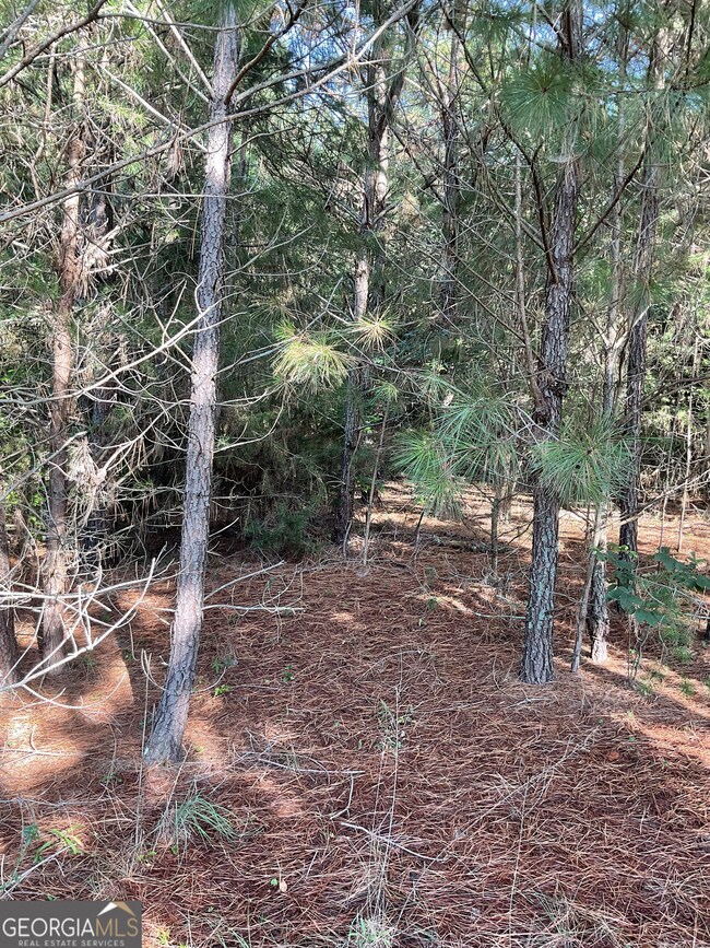 0 Bowers St unit LOT 1-8 10576344, Bowman, GA 30624 - photo 4