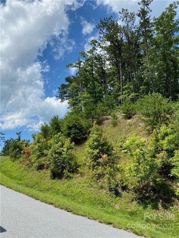 Lot 1320 Round Leaf Ln, Ferguson, NC 28624 - photo 4