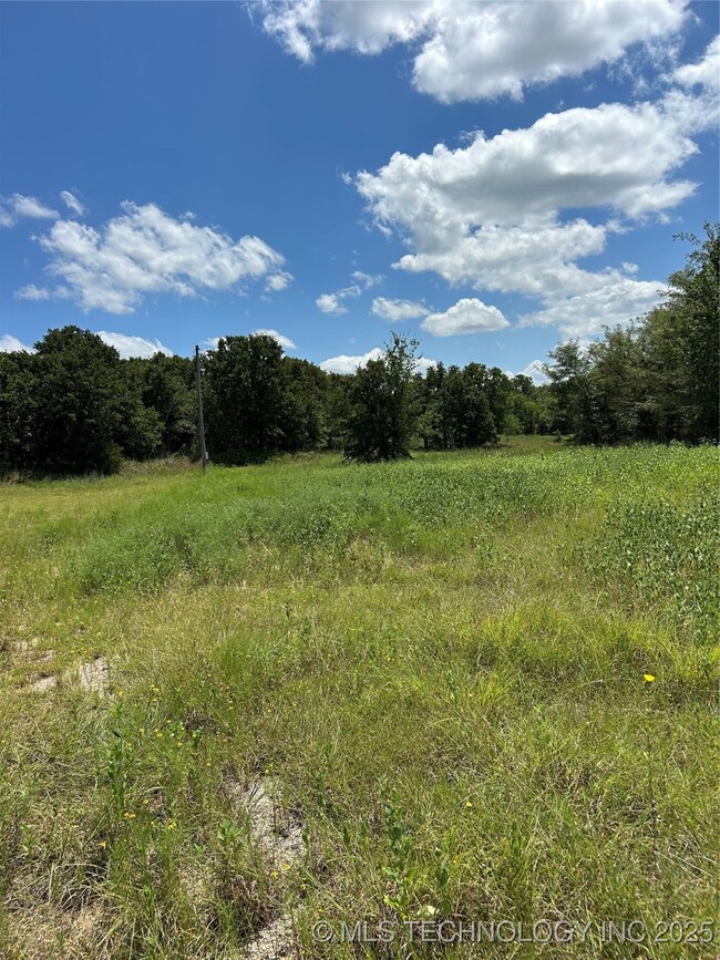 0 Crest St unit 2536071, Wilson, OK 73463 - photo 6