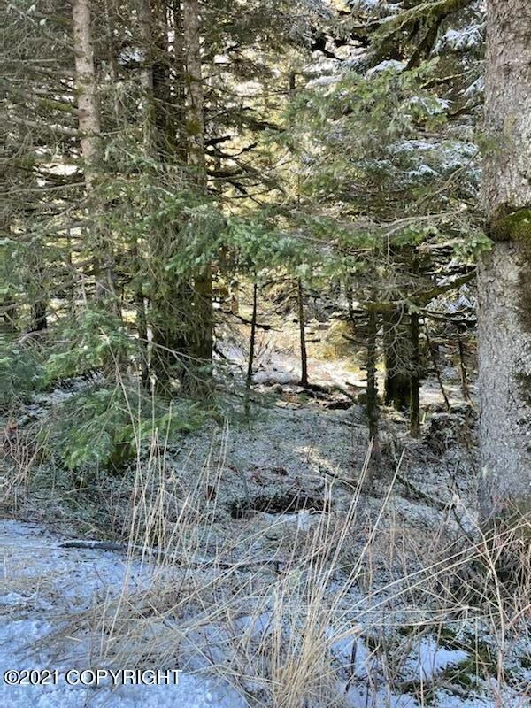 471 Island Lake Road