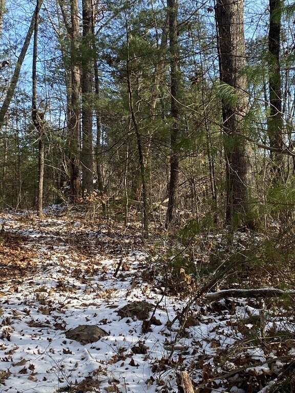 121 & lt12 Sturbridge Rd, Brimfield, MA 01010 - photo 7