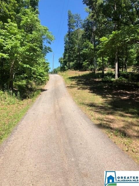 0 Jeans Way unit 7 Ac., Wedowee, AL 36278 - photo 2