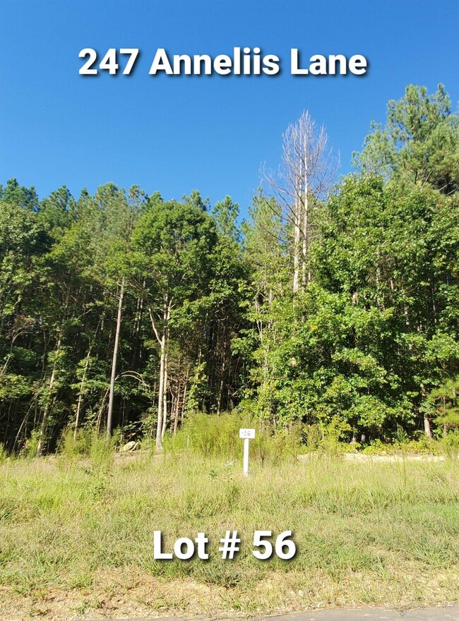 247 Anneliis Ln, Siler City, NC 27344 - photo 2