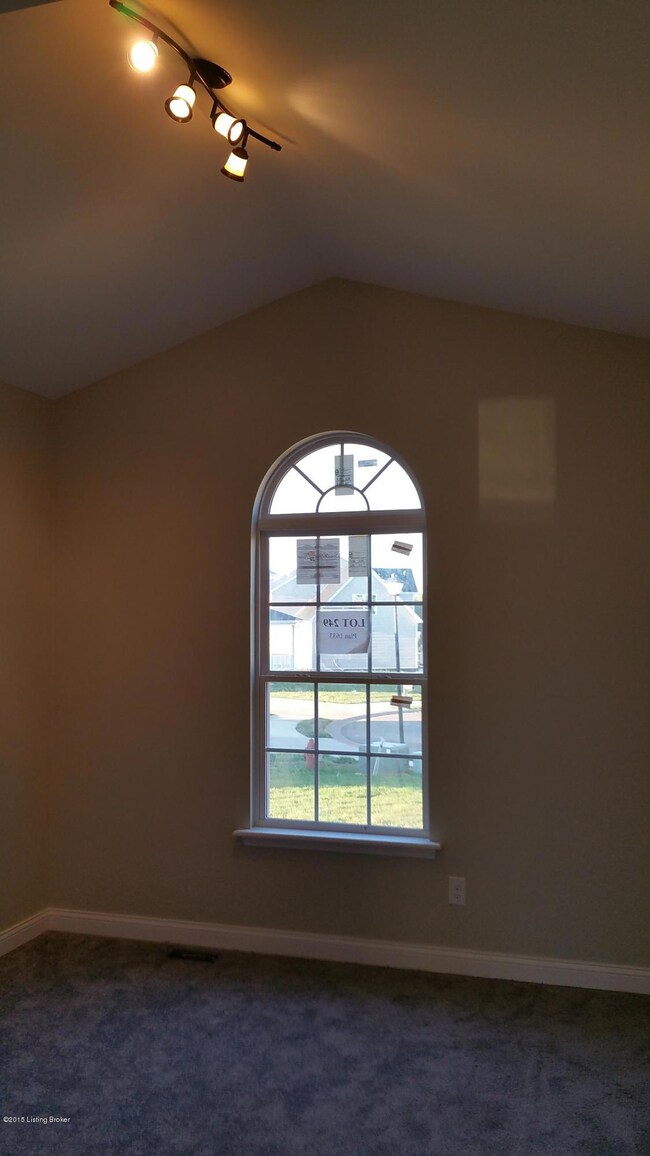 517 Concord Grape Way, Vine Grove, KY 40175 - photo 4