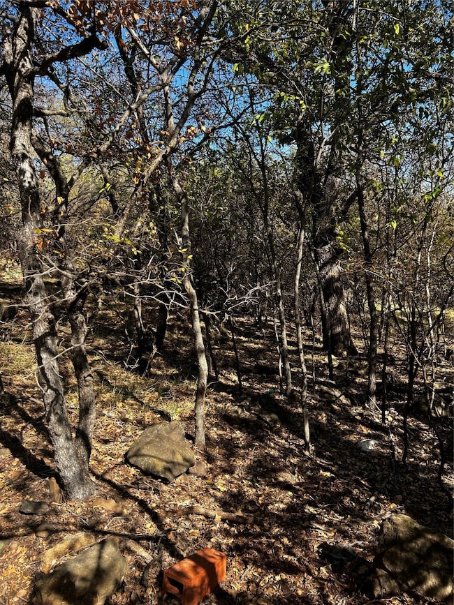 TBD NW 9th St, Mineral Wells, TX 76067 - photo 3