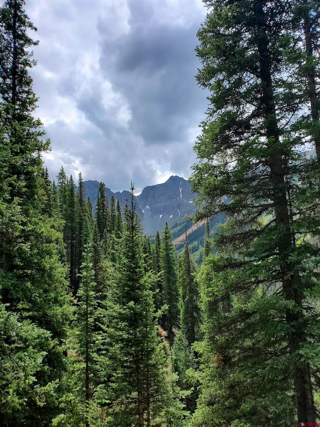 TBD Cr 51 High Mountain Properties, Silverton, CO 81433 - photo 2
