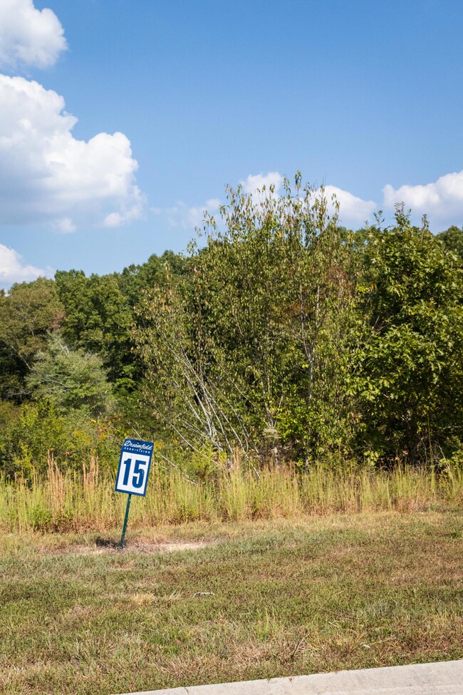 Lot 15
