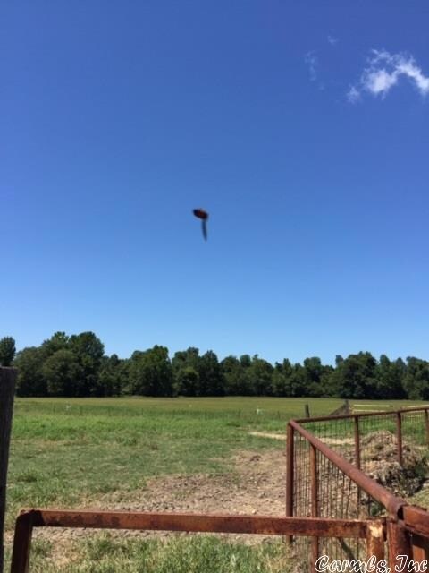 195 ACRES Greene Road 145, Beech Grove, AR 72412 - photo 3